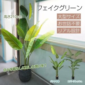 1円 観葉植物 フェイクグリーン 大型 リアル 高さ210cm おしゃれ 鉢付き プレゼント 人工観葉植物 飾り用 撮影用 部屋飾り 鉢植 お祝 sg020