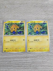 ポケモンカード　　バチュル