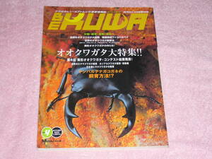 BE KUWA Beak waNo.4 oo stag beetle large special collection!!