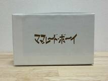 《美品☆即決☆送料無料》ママレード・ボーイ 20th アニバーサリー DVD BOX_画像5