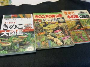 きのこ大図鑑/きのこの実の図鑑/きのこ・木ノ実・山菜百科3冊