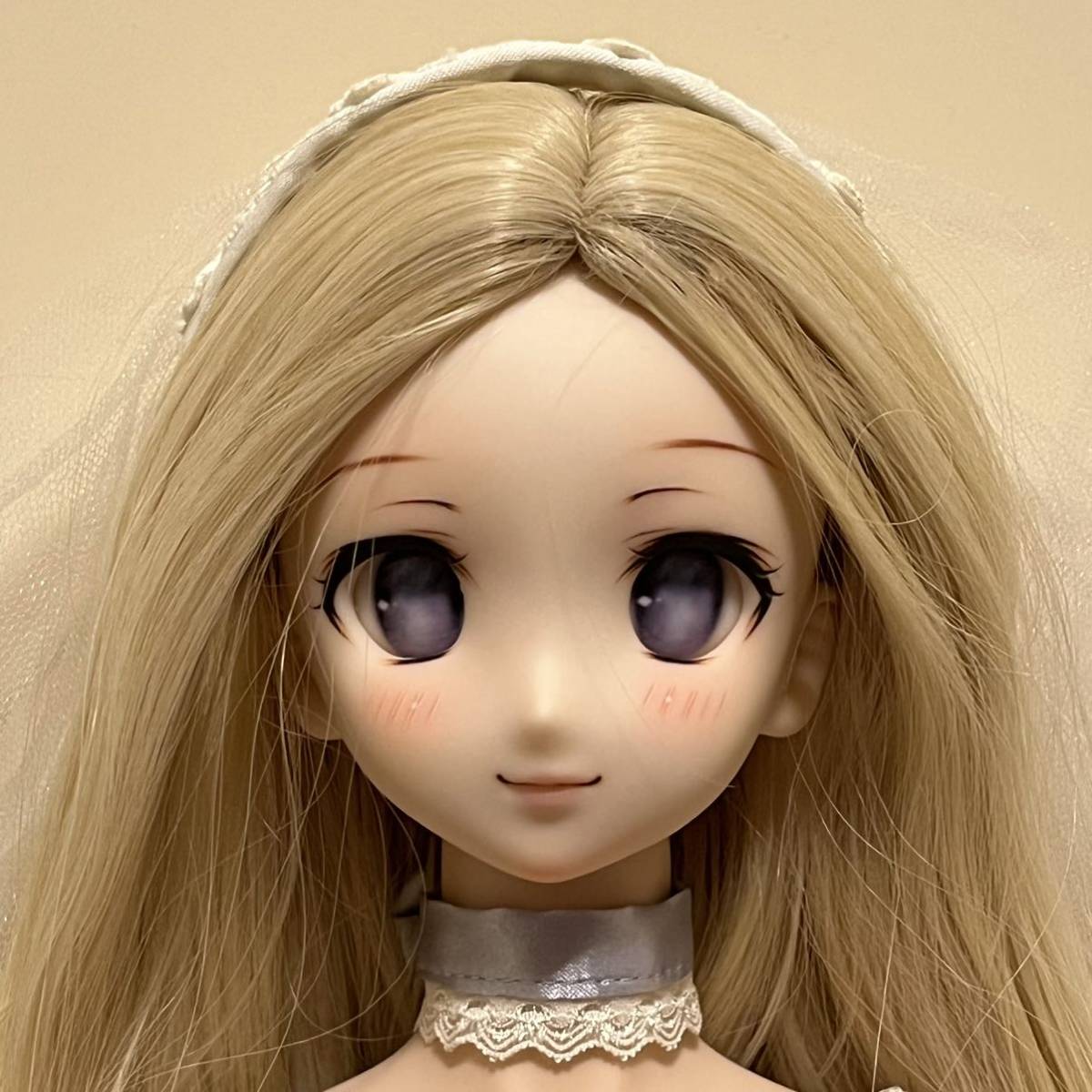 2023年最新】ヤフオク! -ドルフィードリーム 本体(ドルフィードリーム