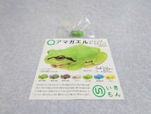 お譲りする商品(新品未使用)