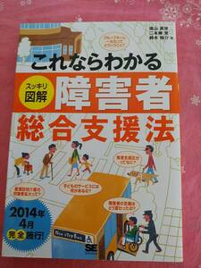 【中古】これならわかるスッキリ図解障害者総合支援法 （これならわかる） 遠山真世／著　二本柳覚／著　鈴木裕介／著