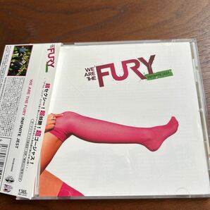 CDアルバム ウィーアーザフューリー WE ARE THE FURY INFINITE JESTの画像1