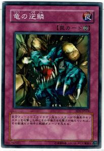 遊戯王 N(ノーマル) 竜の逆鱗 罠[トラップ]