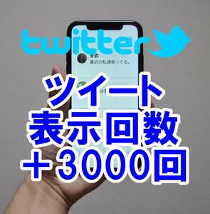 【おまけTwitter 表示回数 インプレッション数 3000回 】 ユーチューブ 増やせる自動増加ツール ツイッター 増加 外国人 登録者数 最高品質