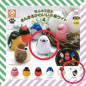 【シマエナガ】ほんのり光る　まんまるかわいい小鳥ライト４　ガチャ　小鳥　鳥　新品未使用