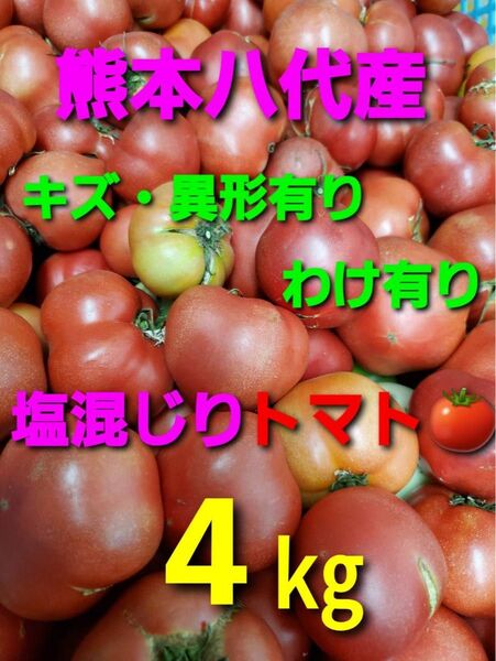 熊本県八代産トマト
