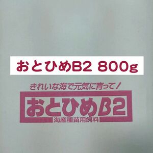 日清丸紅飼料 おとひめB2 800g メダカ 熱帯魚 金魚 グッピー ※送料無料※