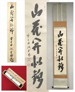 【千寿】大徳寺派 三玄院 藤井誡堂 山花開似錦 紙本 d188◆箱/茶道具/古美術/時代品/掛軸/100016939