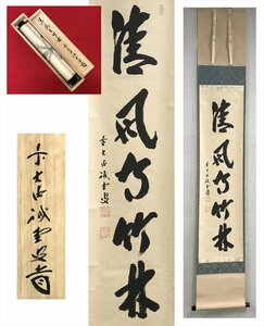 【千寿】大徳寺派 三玄院 藤井誡堂 清風在竹林 紙本 d205◆箱/茶道具/古美術/時代品/掛軸/100016929