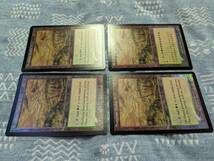 MTG【Foil/英英英中】サングラスの大草原/Sungrass Prairie　[ODY]_画像4