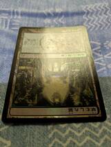 MTG【Foil/日】草むした墓/Overgrown Tomb　[RAV]　№02_画像6