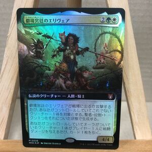 MTG【Foil】■拡張アート■《僻境宮廷のエリヴェア/Ellivere of the Wild Court》日本語版 エルドレインの森 統率者 神話レア