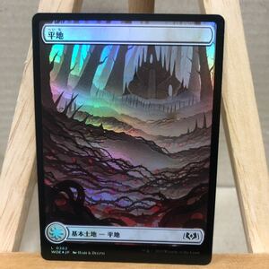 MTG【Foil】(262)■フルアート■《平地/Plains》[WOE] 土地 日本語 エルドレインの森 基本土地