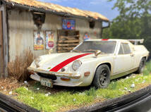 世界の名車1/24　LOTUS EUROPA SPECIAL草ヒロ風景ジオラマ 自作完成品 ケース付_画像2