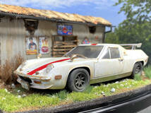 世界の名車1/24　LOTUS EUROPA SPECIAL草ヒロ風景ジオラマ 自作完成品 ケース付_画像8