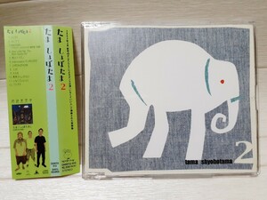 CD たま しょぼたま２