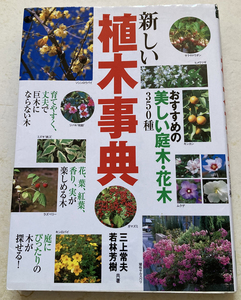  new plant lexicon recommendation. beautiful garden tree * Hanaki 350 kind three on . Hara 