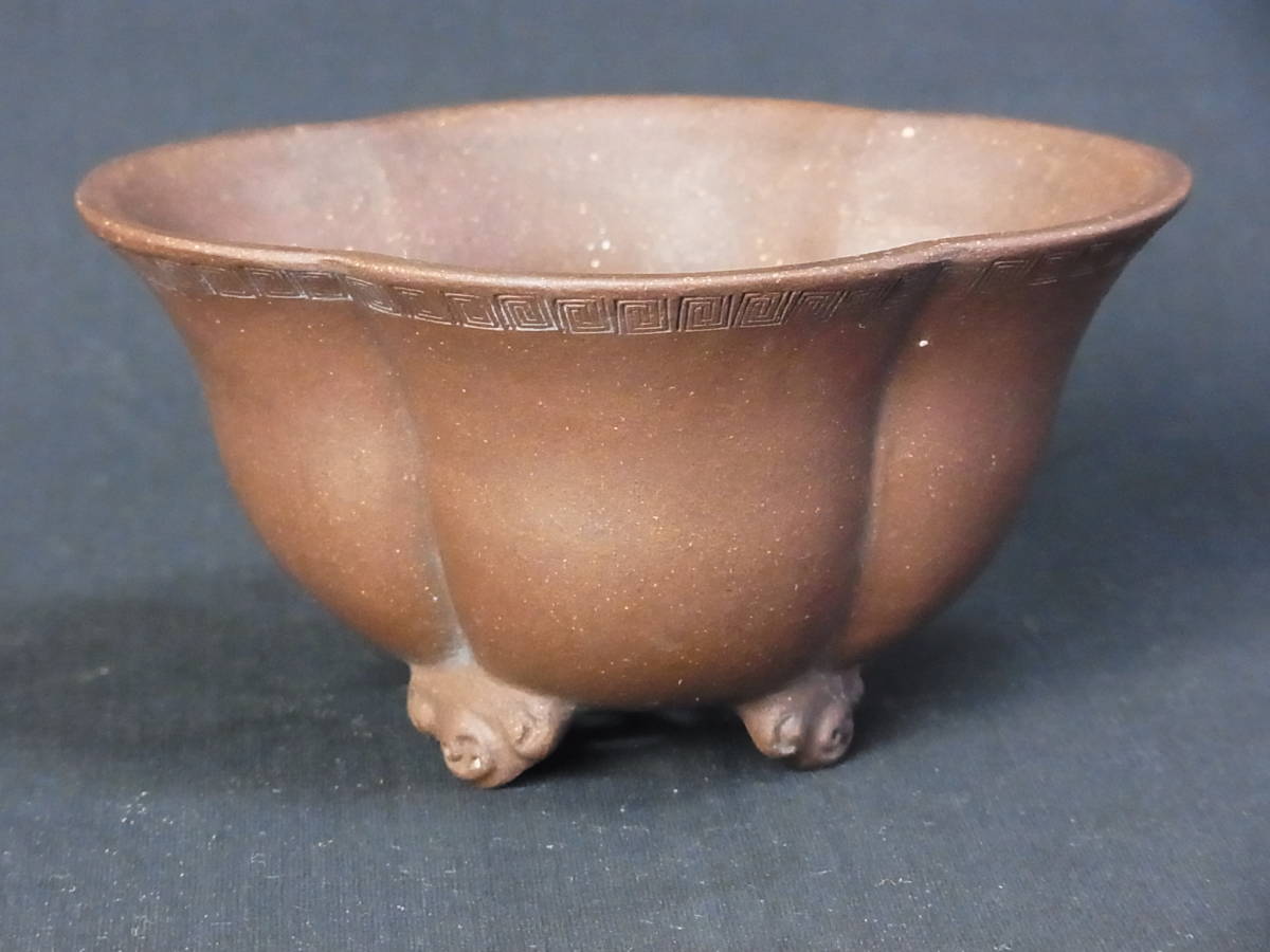 2023年最新】ヤフオク! -木瓜(盆栽用具)の中古品・新品・未使用品一覧