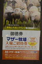 マザー牧場　入場ご招待券　期限2024/1/31　1枚700　4枚セット2800円　送料無料_画像1