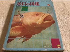 小学館の学習百科図鑑 3 魚貝の図鑑 / 小学館