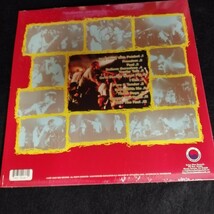 C10 中古LP 中古レコード　ポットショット　POTSHOT rockn roll /pots and shots 2タイトルセット　シュリンク有り_画像3