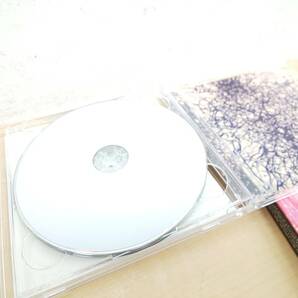 49525B◆CD SawanoHiroyuki[nZk]/澤野弘之☆X.U.| scaPEGoat【期間生産限定盤CD+DVD】の画像7