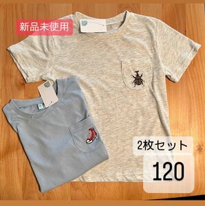 《新品》ワンポイント 半袖　Tシャツ　120 2枚セット　 Tシャツ　西松屋　カブトムシ　