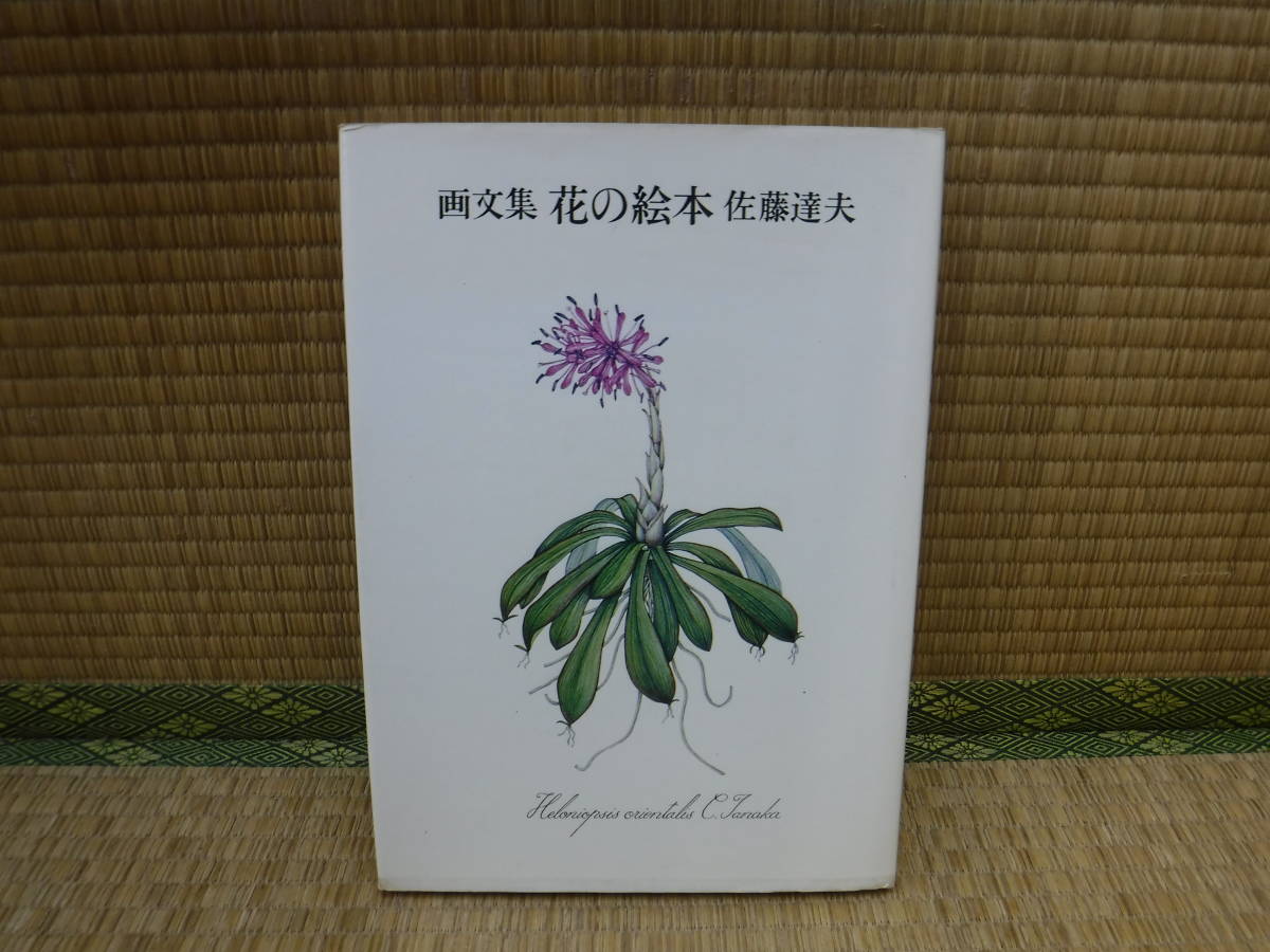 Книжка с картинками цветов Тацуо Сато, Токио Симбун Пресс, Рисование, Книга по искусству, Коллекция, Книга по искусству