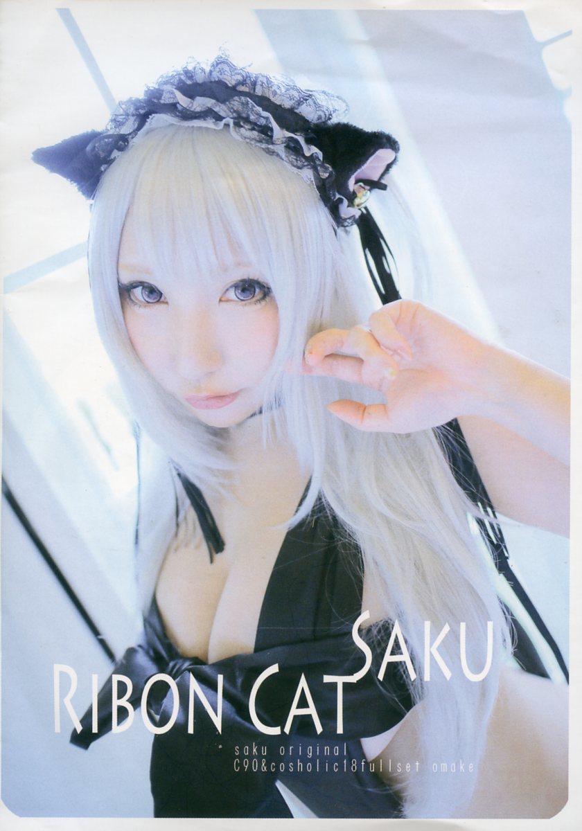 Shooting Star's (saku/Saku/ RIBON CAT SAK (Limited non-sale bonus ROM from the C90 distribution set/with jacket)/Cosplay ROM photo book)/Published in 2016, By Title, Other Works, others