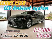 LS50系用☆LEDイルミネーション◆LEXUS_LS50系前_後期OK★23ヶ所アンビエント発光☆OP2ヶ所追加可★LS500(VXFA50/55) / LS500h(GVF50/55)_画像3