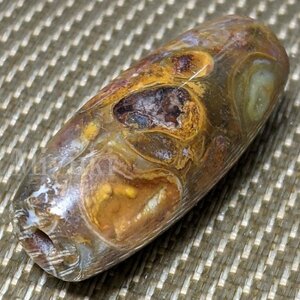 御幸天珠 AS02434 法螺天珠 35x15mm 法螺貝天珠 法螺貝の化石 ほら貝 ホラガイ ほらがい