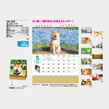 New 2024年卓上カレンダー　柴犬まるとおさんぽ　NK529_画像2
