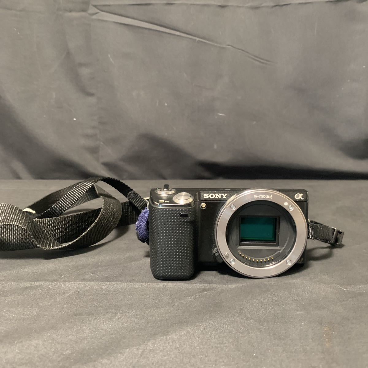 2023年最新】ヤフオク! -nex-5の中古品・新品・未使用品一覧