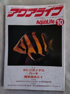 月刊アクアライフ1995/10月号 No.195 特集・ダトニオイデス パーチ 南米淡水エイ