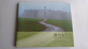 道のむこう　ベルンハルト・M. シュミッド　イタリア/アメリカ/フランス/カナダ/オーストラリア/アルゼンチン/チリ　道/風景