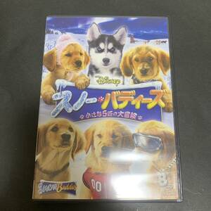  ultra rare!DVD * snow * Buddies small 5 pcs. large adventure M1269