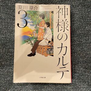 神様のカルテ　３ （小学館文庫　な１３－３） 夏川草介／著