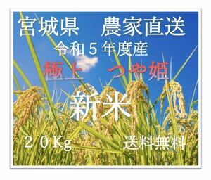 お米　新米　宮城県産　つや姫　20kg 産地直送　令和5年度産　送料込み