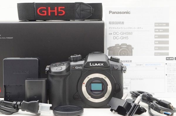 2023年最新】ヤフオク! -パナソニック dc-gh5(ミラーレス一眼)の中古品