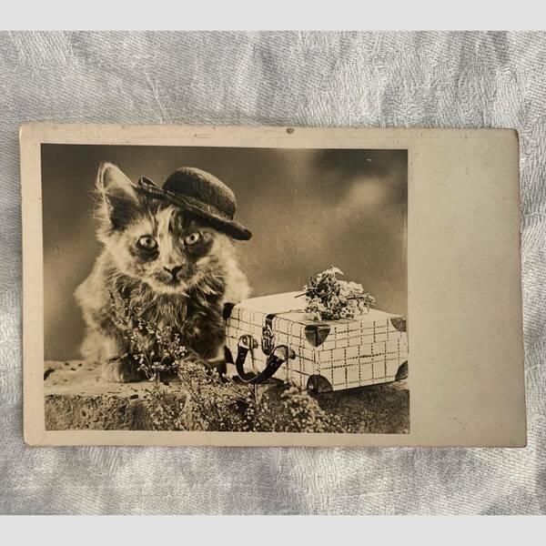 フランス 1930-50s ハットを被った猫 ポストカード 写真 カメラ 銀板 クラシック アート 葉書 絵葉書 ヴィンテージ アンティーク