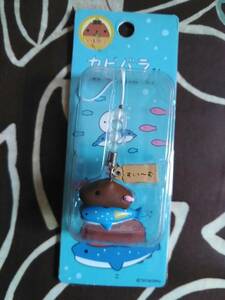  Kapibara-san . attaching Okinawa limitation ..~. Gin Bay The me charm strap unopened 