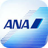 ANA 5100マイル 2日程度で加算 クレカOK マイレージ マイル数指定可 全日空 