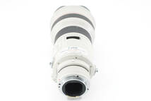★銘玉★ Canon キヤノン EF300mm F2.8L USM 単焦点望遠レンズ_画像9