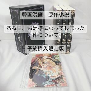 在庫ラスト 韓国漫画 原作小説 予約購入限定版 ある日、お姫様になってしまった件について ある姫 限定BOX 小説全巻 豪華版 限定小冊子