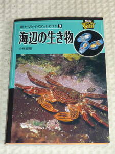 新・ヤマケイポケットガイド9「海辺の生き物」小林安雅　山と渓谷社