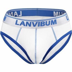 90-745-12 サイズXL LANVIBUM ブリーフ メンズ パンツ コットン ヒットカラー 人気カラー ウエストゴム セクシー デザイン 通気性〇 下着 2