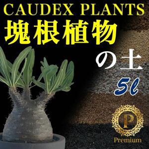 塊根植物専用の土　Premium5㍑培養土　パキポディウム・アデニウム等